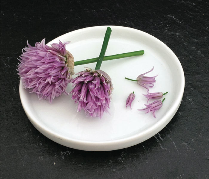 fleurs de ciboulette MARIUS AUDA