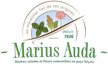 Logo MARIUS AUDA