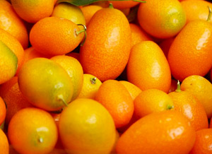 produits régionaux Marius Auda: kumquats de Nice
